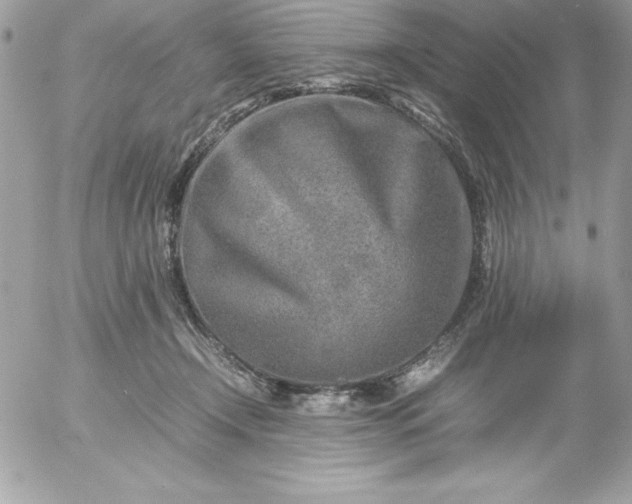 X0000052950366200507221218