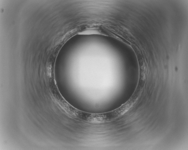 X0000052950368200507221218