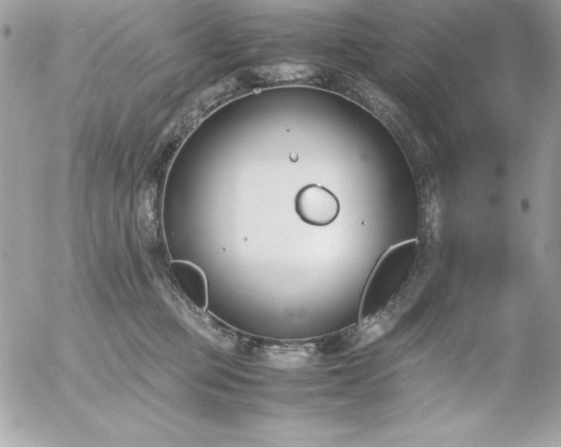 X0000052950373200507221218