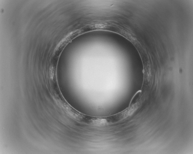 X0000052950374200507221218