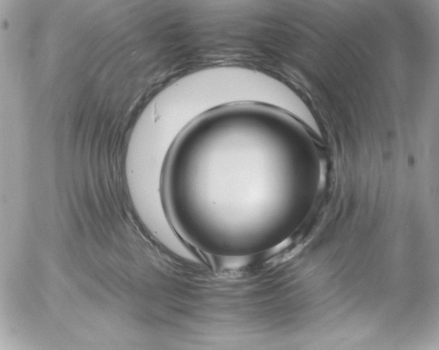 X0000052950377200507221218