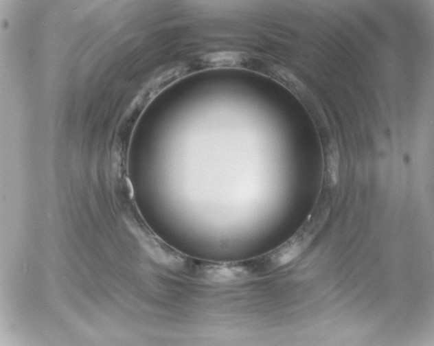 X0000052950379200507221218