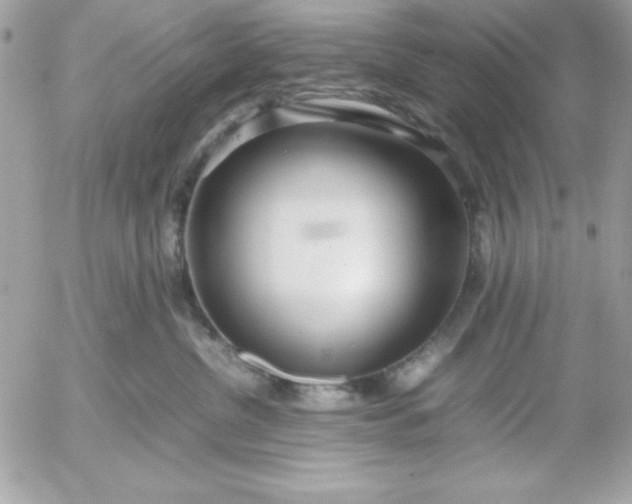 X0000052950380200507221218