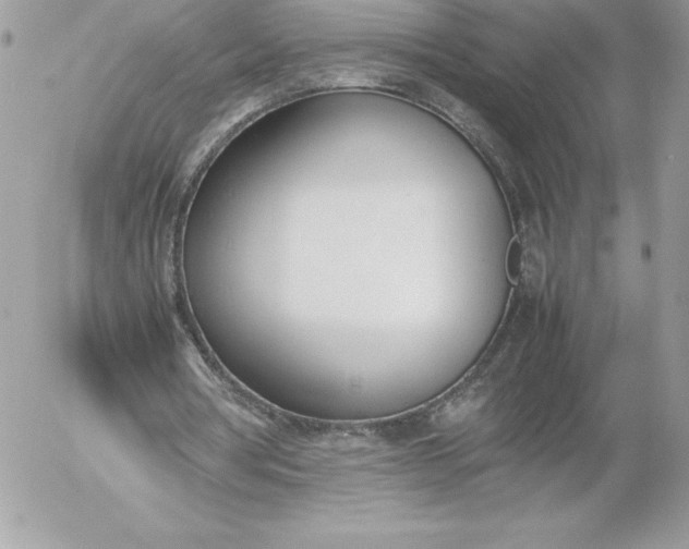 X0000052950386200507221217