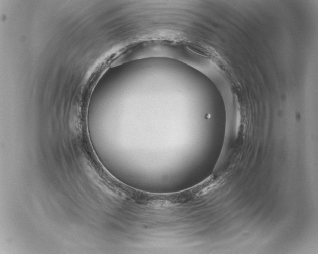 X0000052950392200507221217