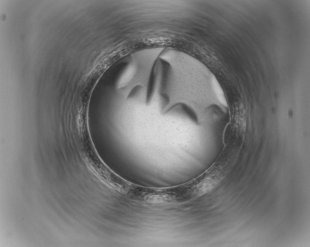 X0000052950408200507221217