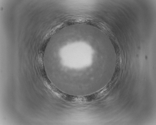 X0000052950415200507221217