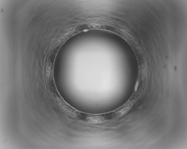 X0000052950417200507221217