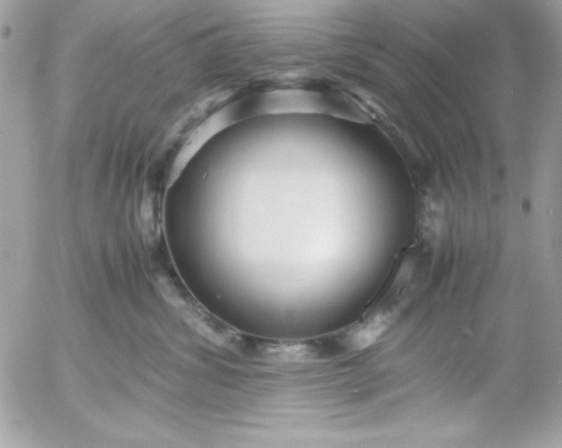 X0000052950428200507221216