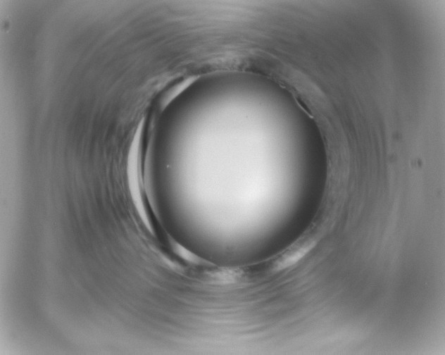 X0000052950432200507221216