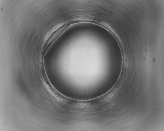 X0000052950437200507221216