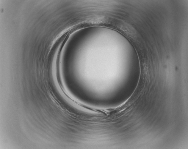 X0000052950440200507221216