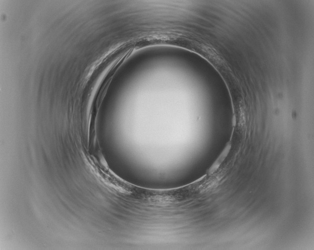 X0000052950444200507221216