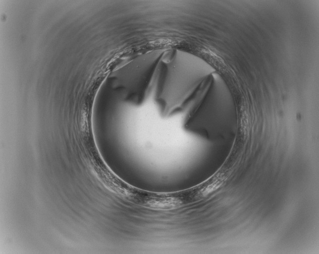 X0000052950459200507221216
