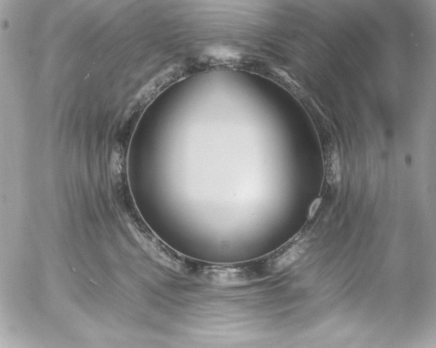 X0000052950472200507221216