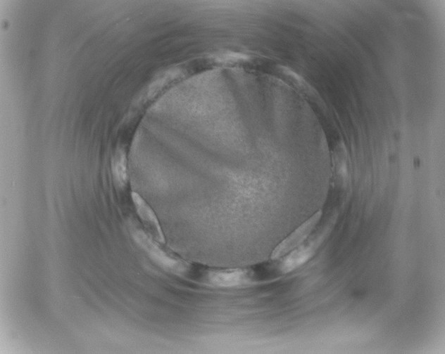 X0000052950479200507221216