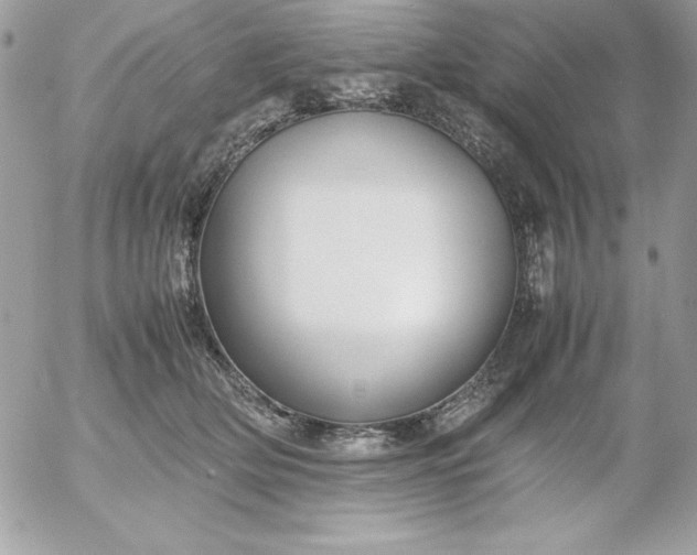 X0000052950514200507221215