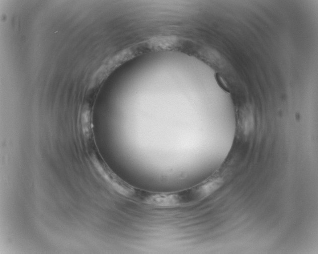 X0000052950526200507221215