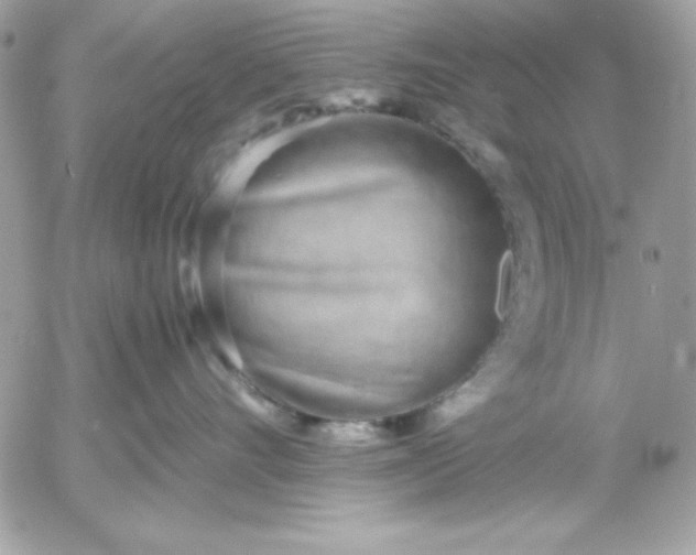 X0000052950528200507221215