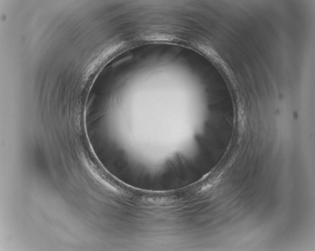 X0000052950533200507221214