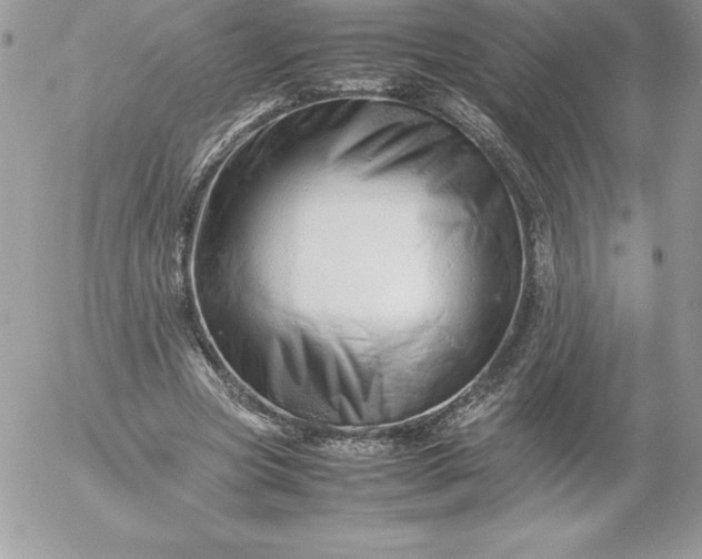 X0000052950537200507221214