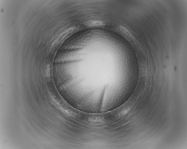 X0000052950549200507221214