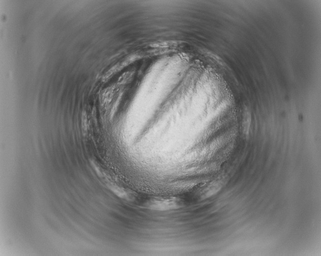 X0000052950569200507221215