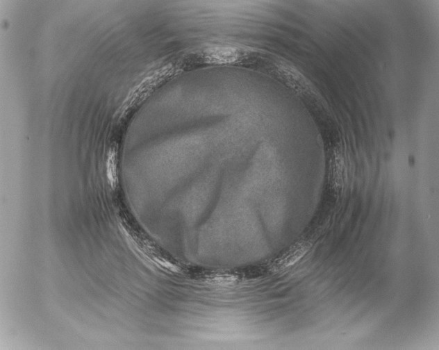 X0000052950598200507221214