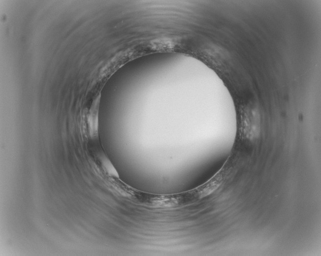X0000052950616200507221213