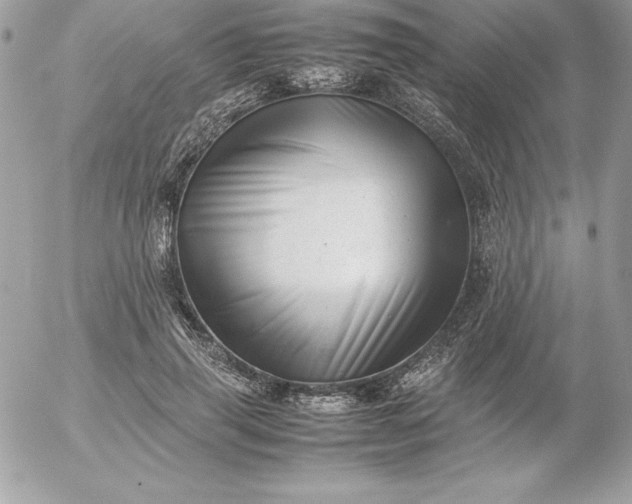 X0000052950645200507221213