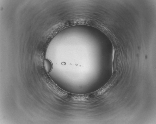 X0000052950661200507221213