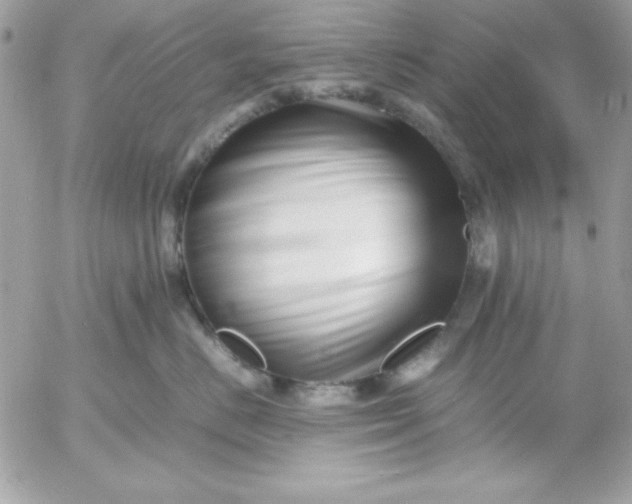 X0000052950670200507221213