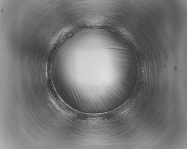 X0000052950686200507221212