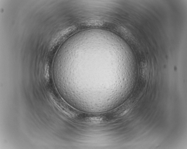 X0000052950692200507221212