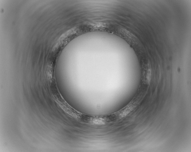 X0000052950710200507221212