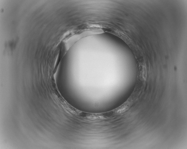 X0000052950712200507221212
