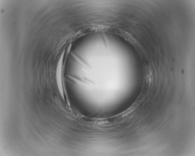 X0000052950716200507221212
