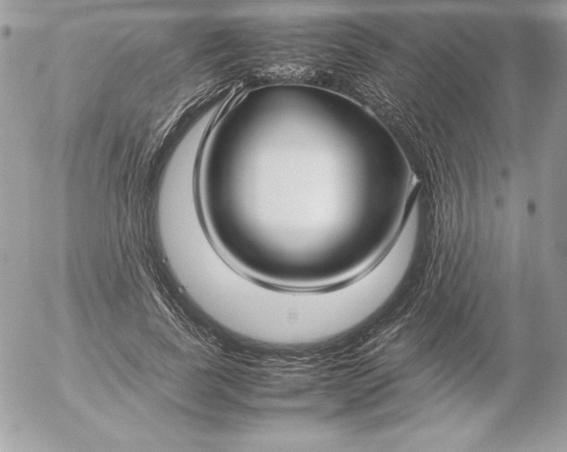 X0000052950739200507221211