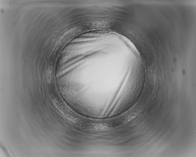 X0000052950741200507221211