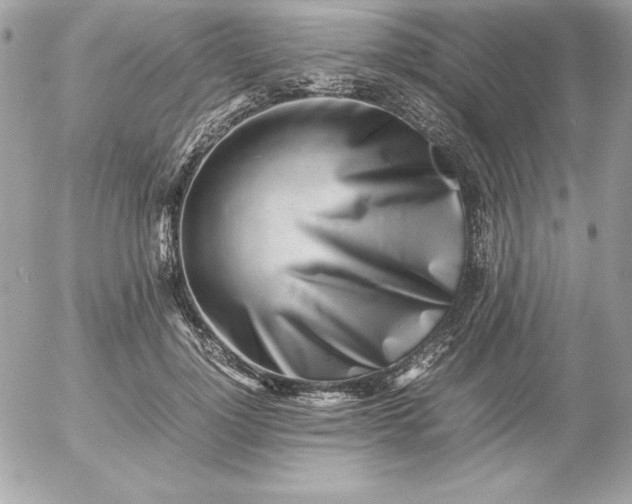 X0000052950748200507221211