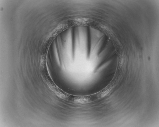 X0000052950759200507221211