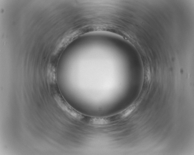 X0000052950766200507221212