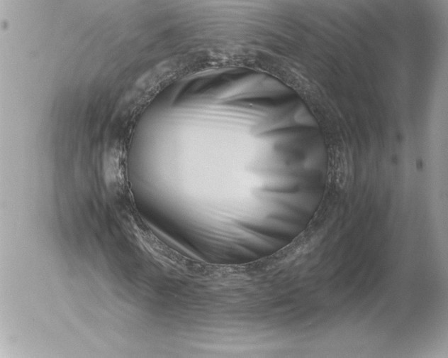 X0000052950770200507221211