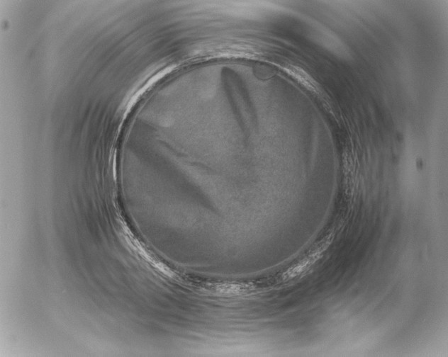 X0000052950790200507221210