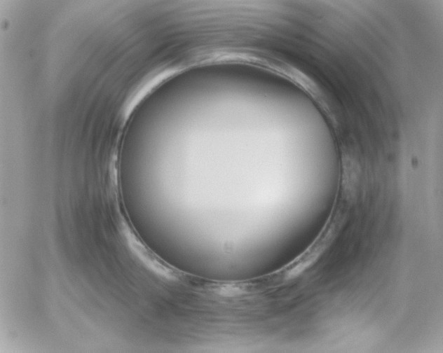 X0000052950814200507221210