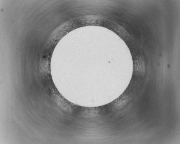 X0000052950820200507221209