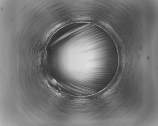 X0000052950833200507221210