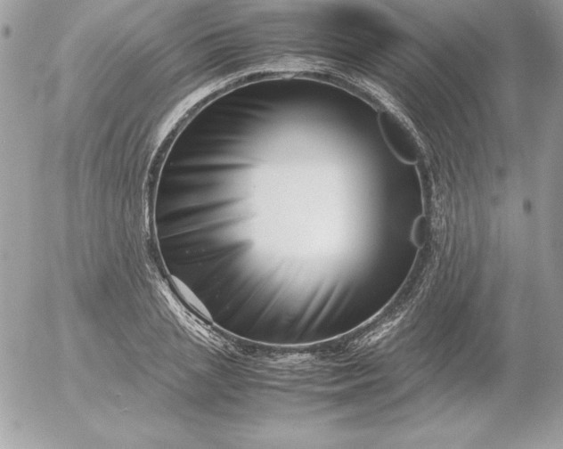 X0000052950837200507221210