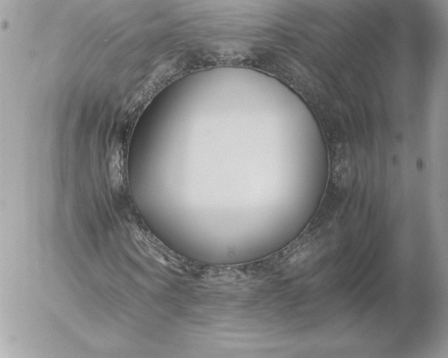 X0000052950866200507221209