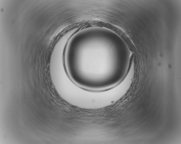 X0000052950871200507221209
